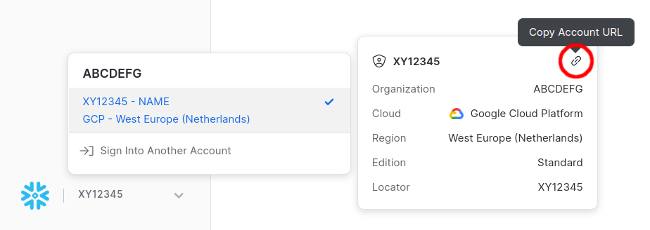 Find host name in Snowsight